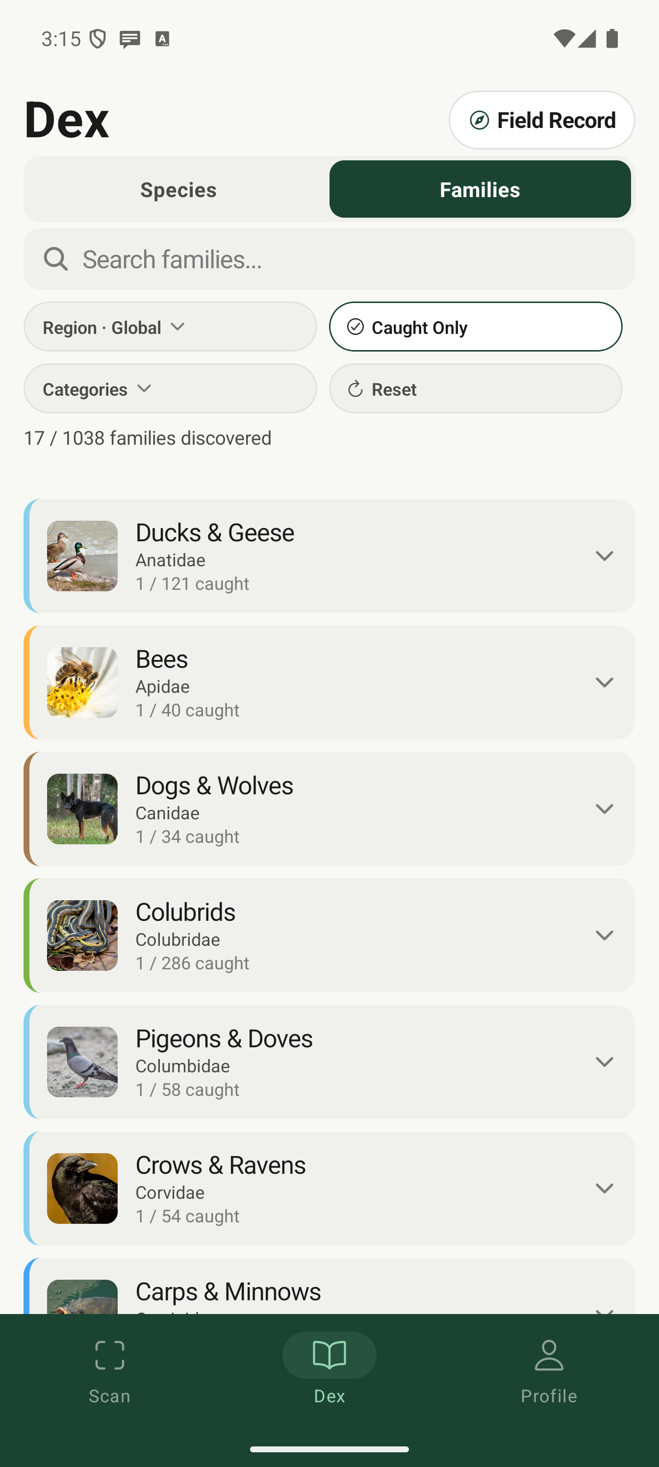 Families view with caught only filter