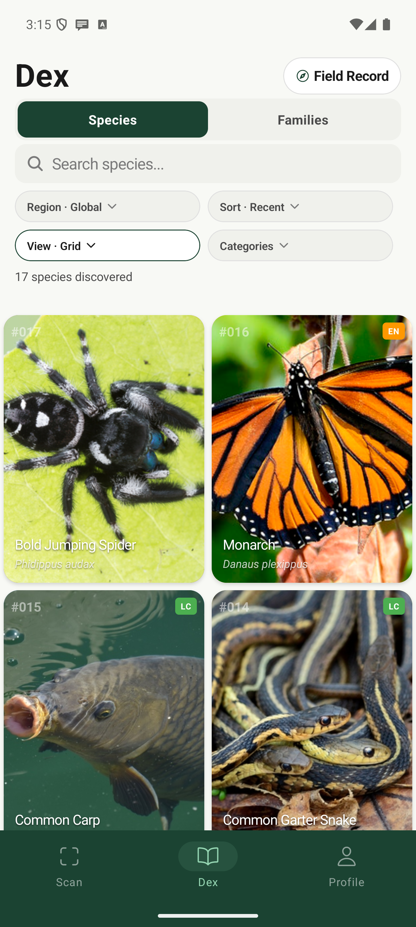 Species collection grid mode